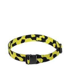 Luggage Belt